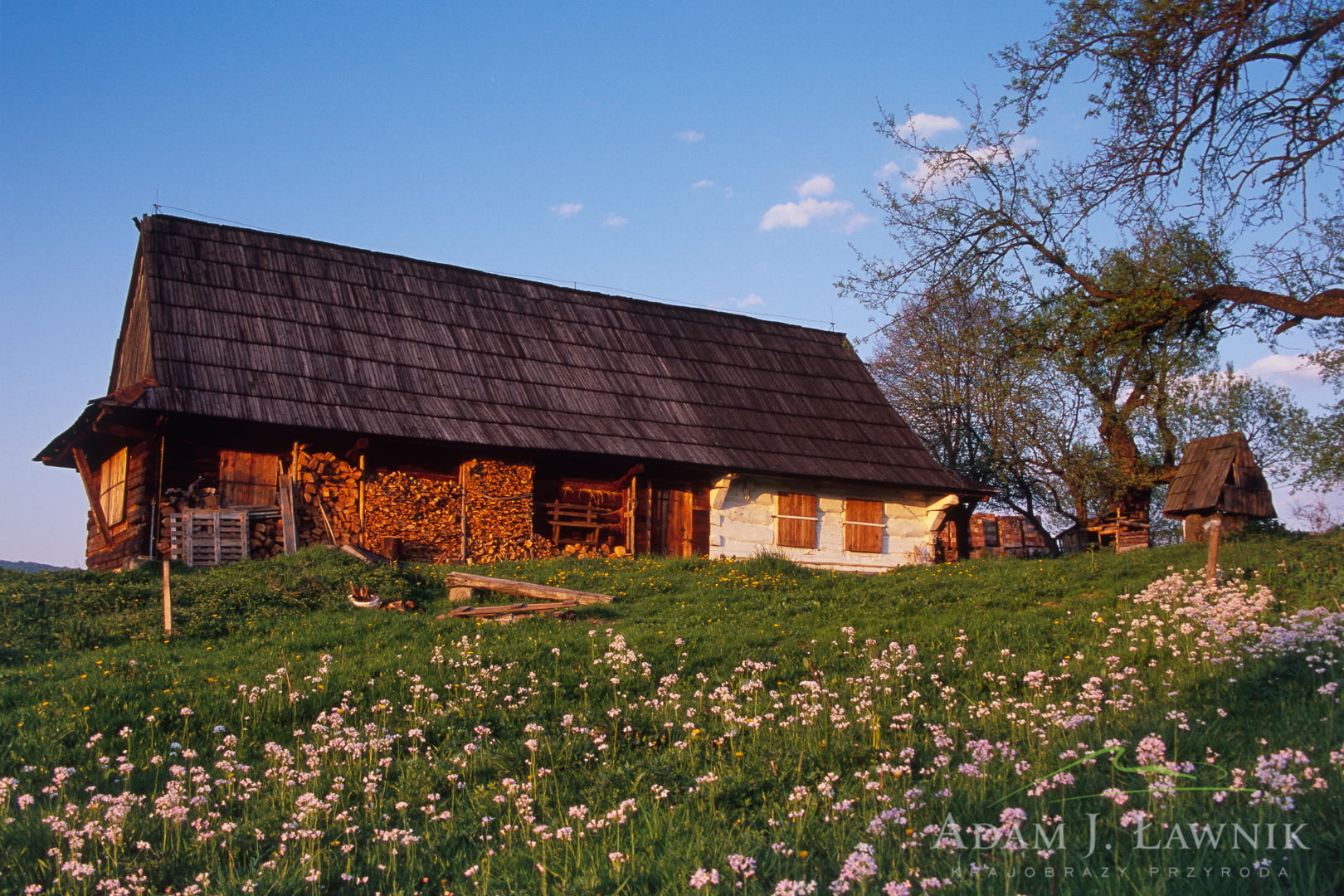 Low Beskids, Poland 0605-01826P