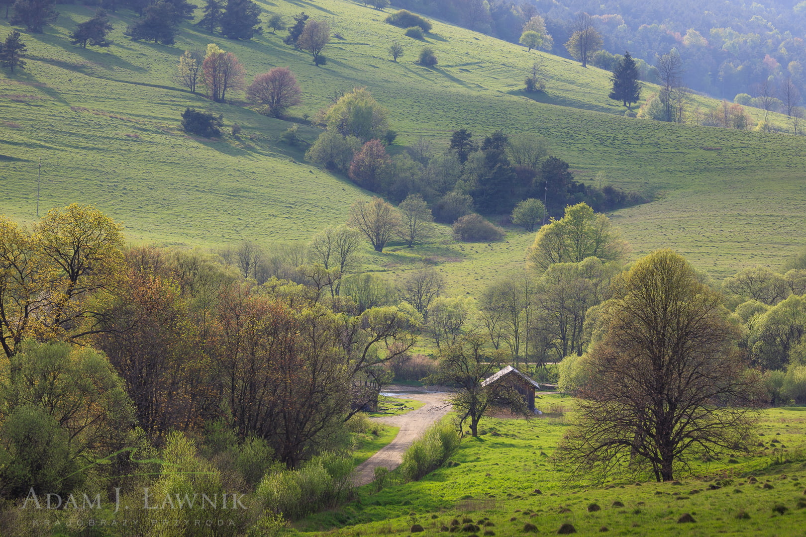 Low Beskids, Poland 0705-00721C