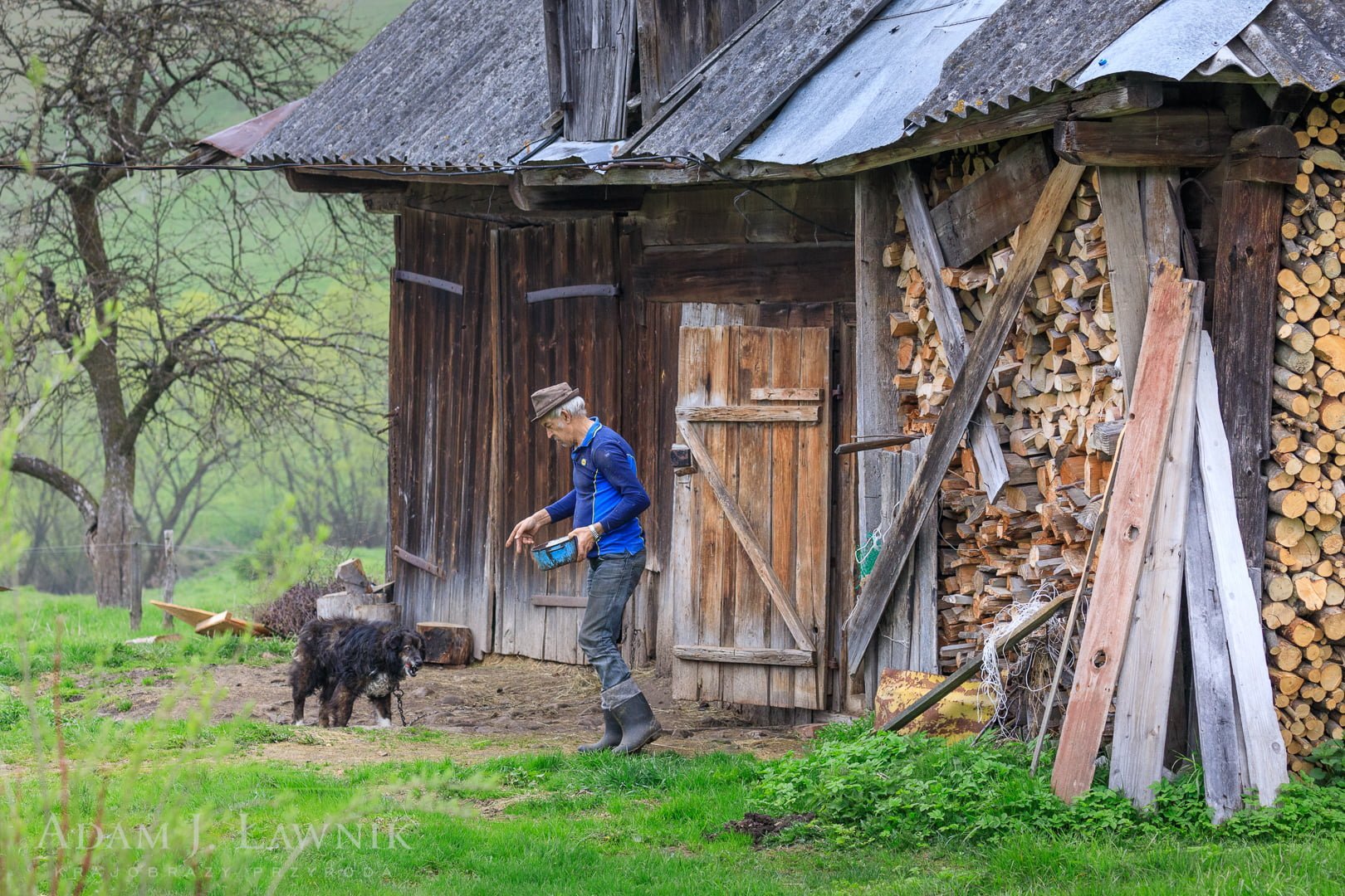Drewniana zabudowa i gospodarz karmiący psa na łańcuchu