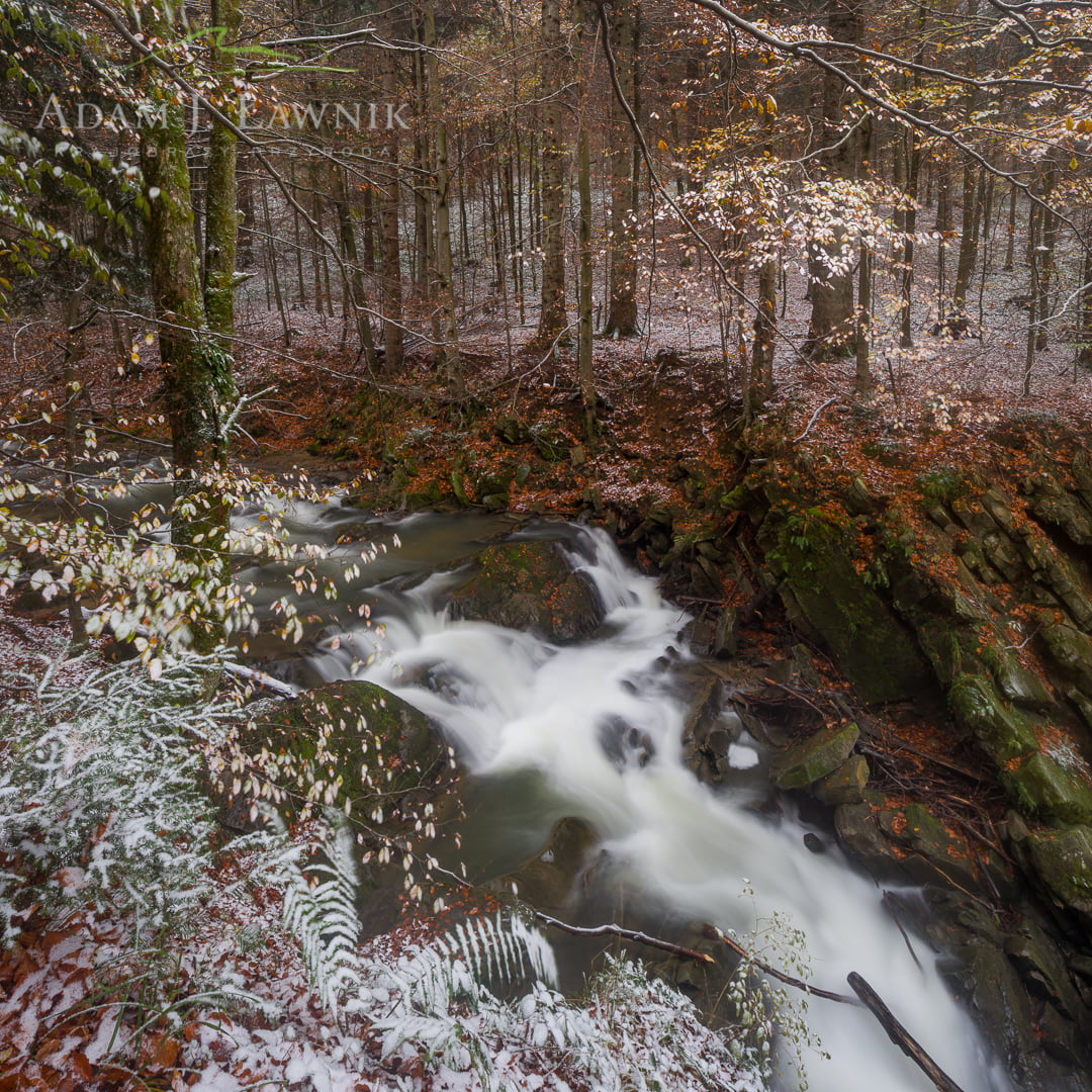 Bieszczady 1410-01380C