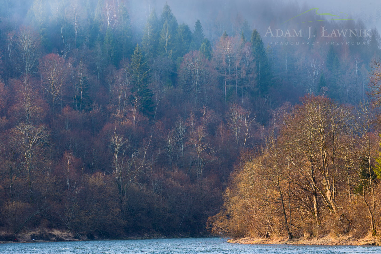 Bieszczady Mountains, Poland 1503-00328C