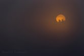 Bieszczady Mountains, Poland 1609-00689C
