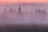 Bieszczady Mountains, Poland 1609-00690C