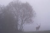Bieszczady Mountains, Poland 1609-00692C