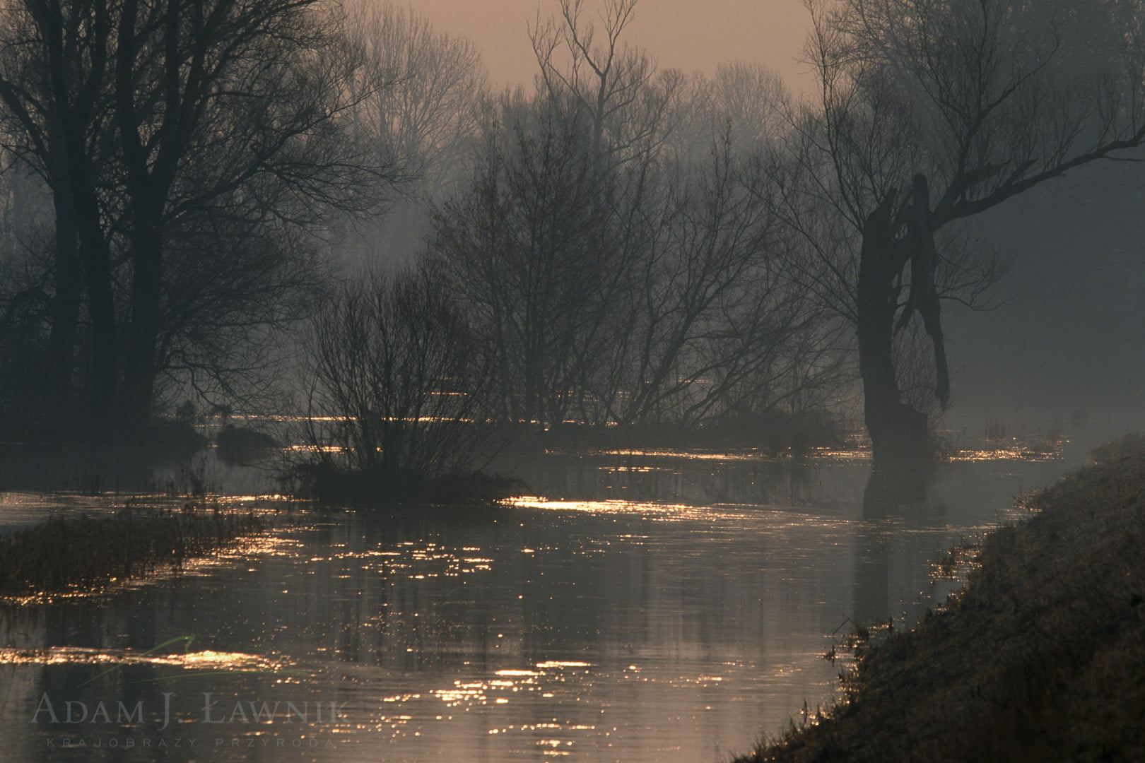 Dolina Środkowej Wisły 0503-01303P