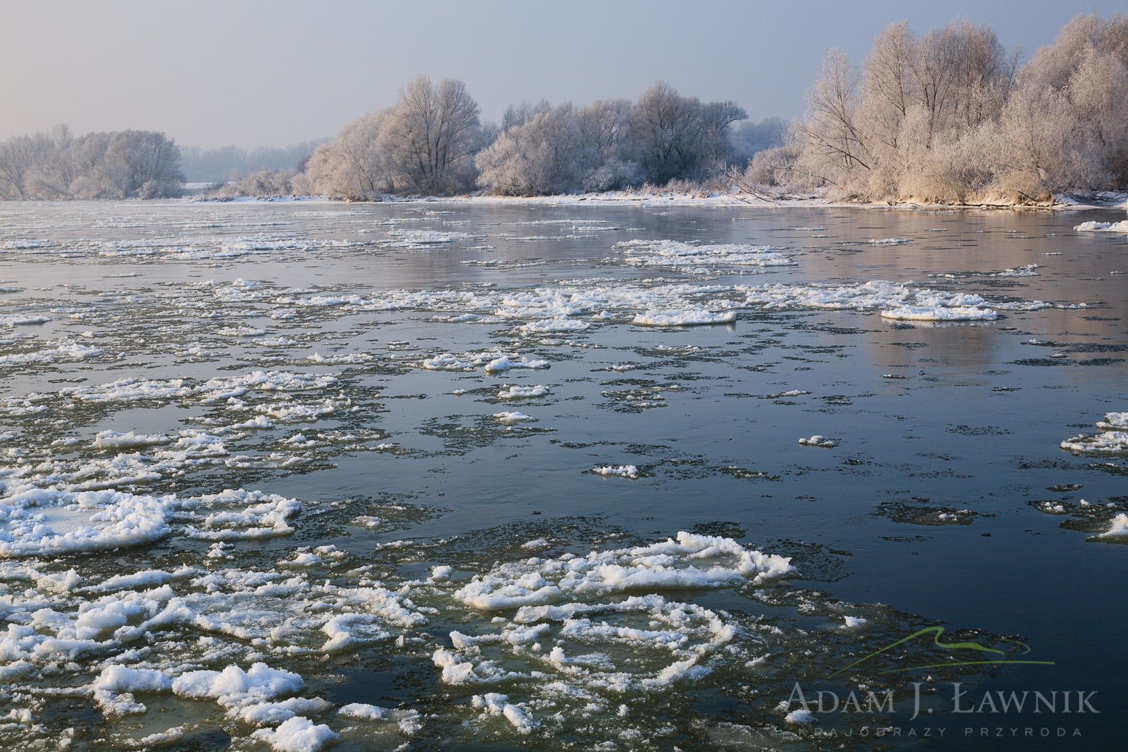 Dolina Środkowej Wisły 0901-00028C