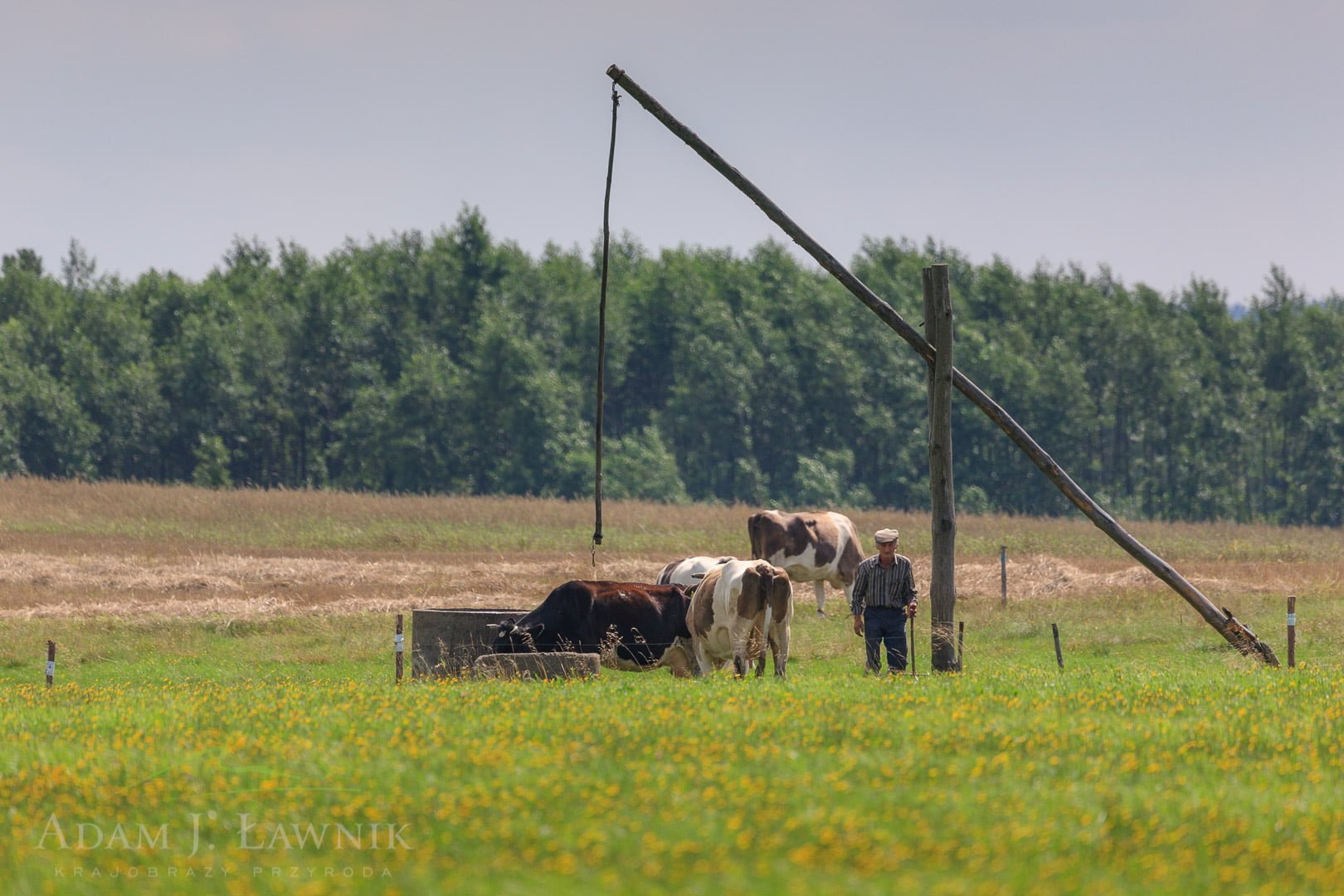 Podlachia, Poland 0608-02504C