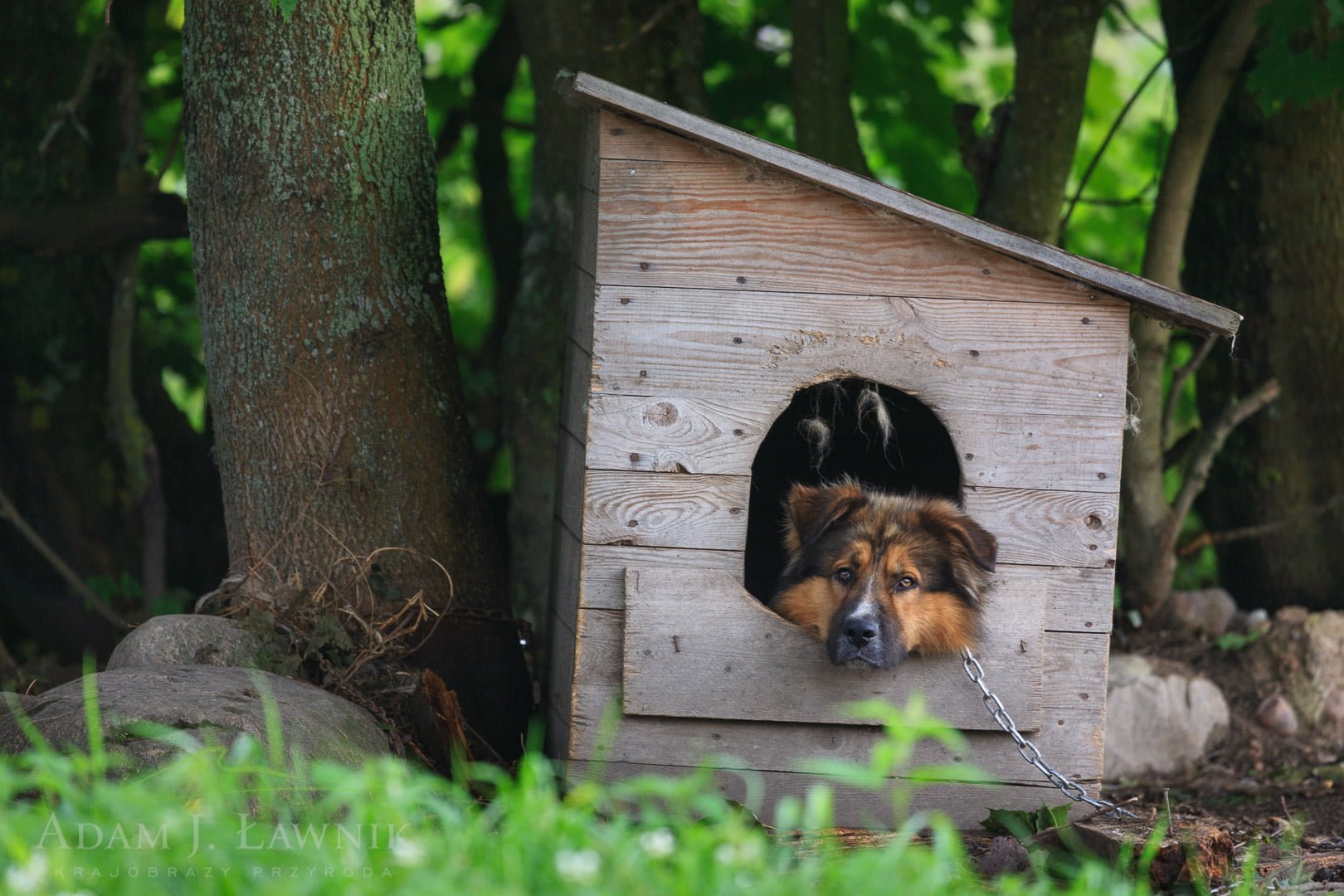 Podlachia, Poland 0908-00696C