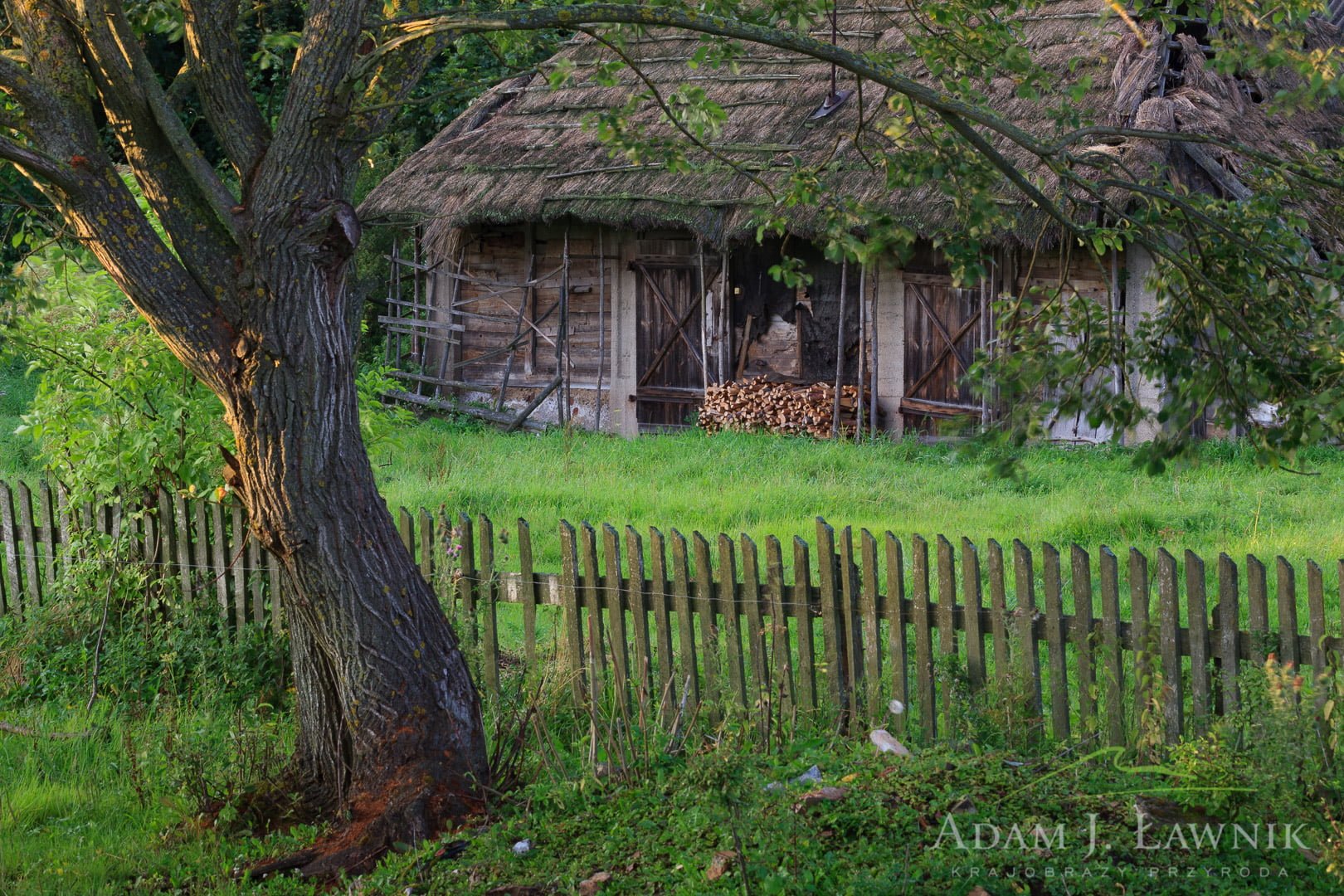 Podlachia, Poland 0908-00708C