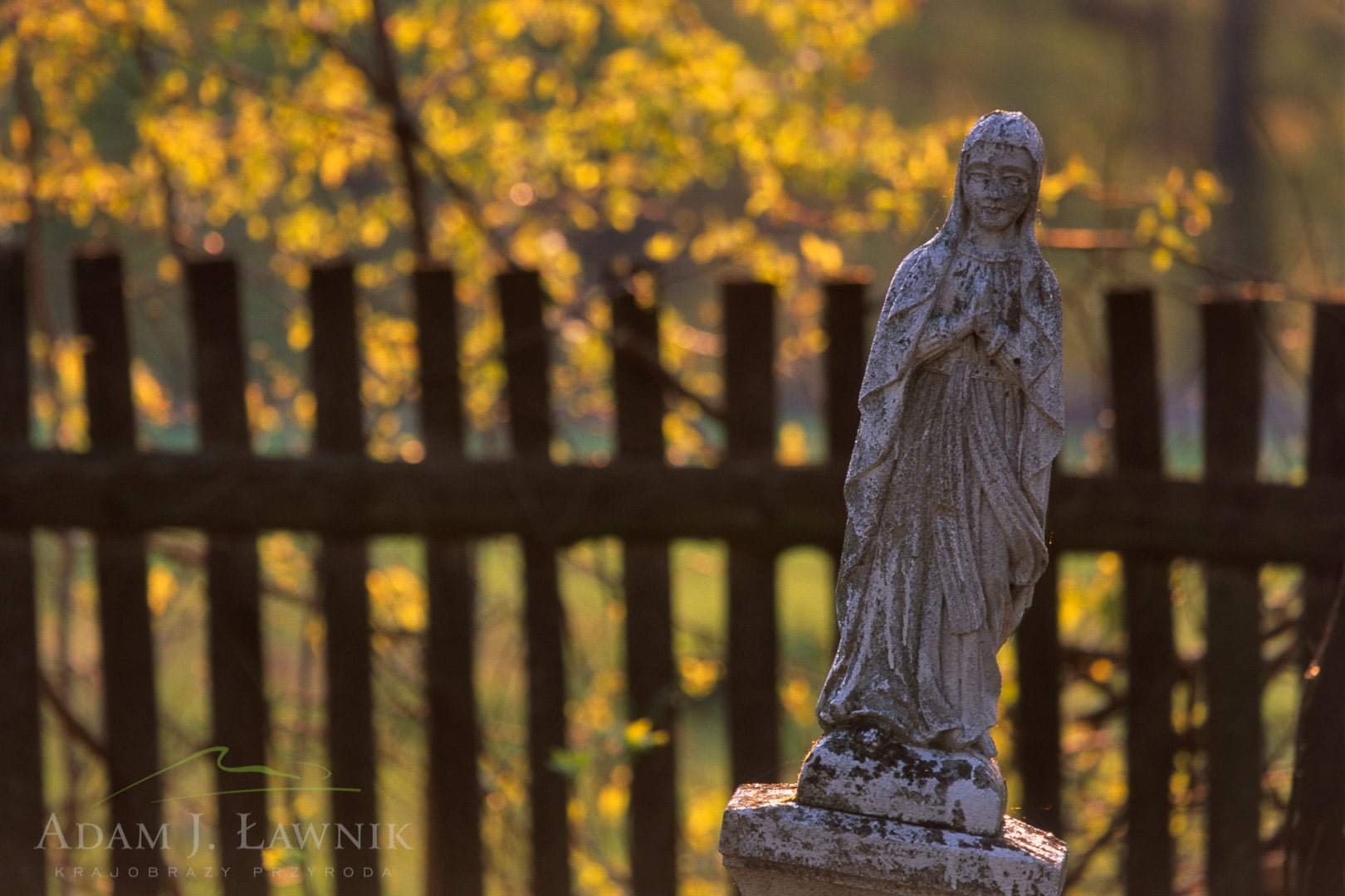 Roztocze 0605-01101P