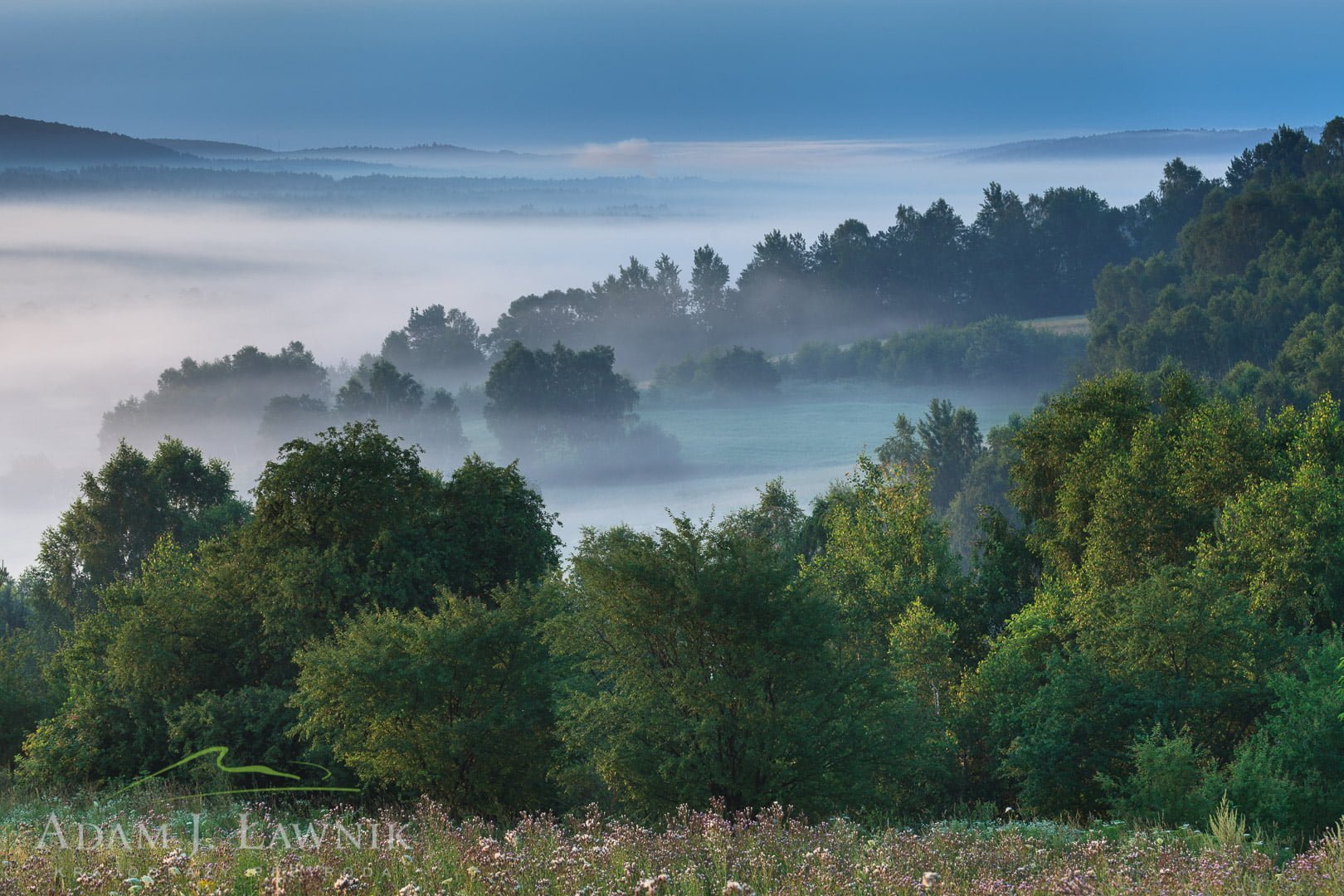 Roztocze, Poland 1207-02719C