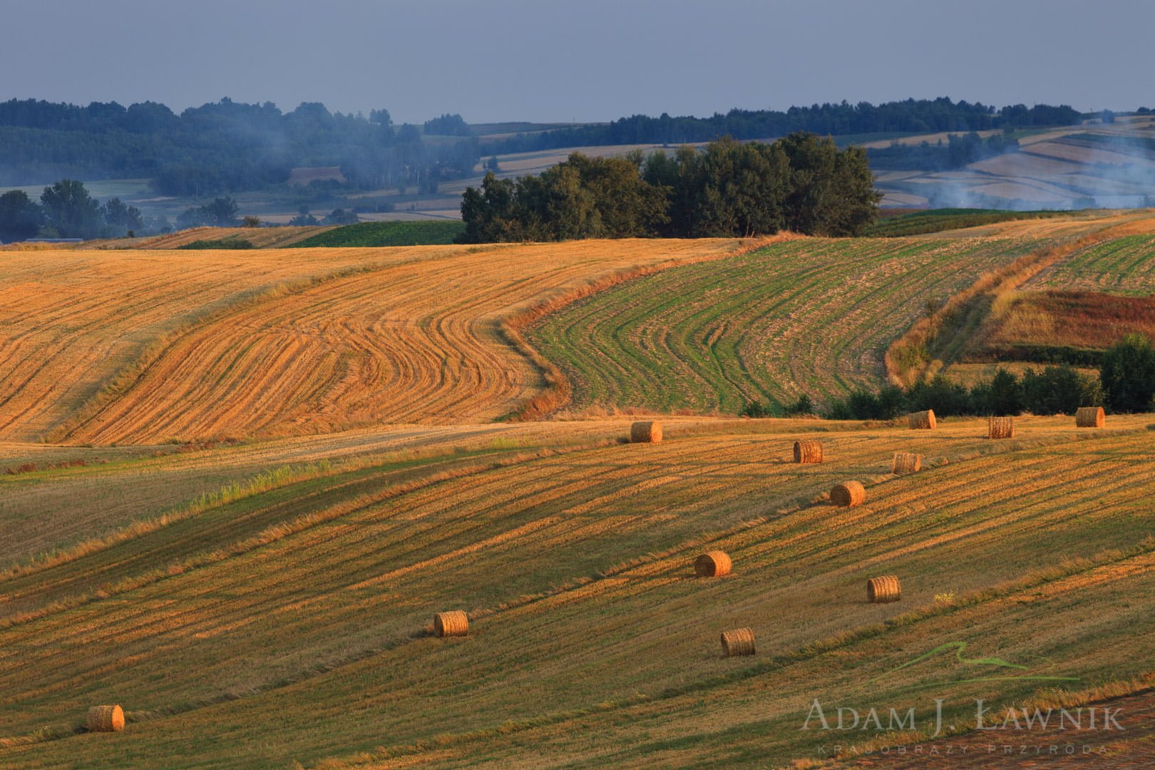 Roztocze, Poland 1308-01133C