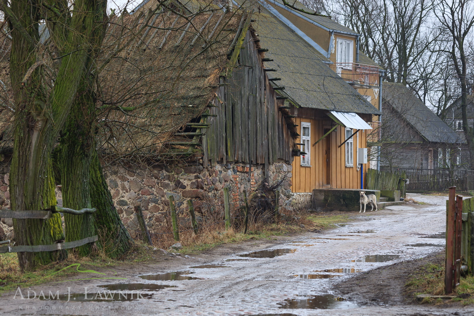 Wieś Brzostowo w Biebrzańskim Parku Narodowym