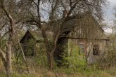 Biebrza National Park, Poland 1604-00673C