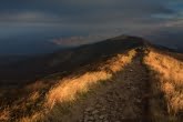 Bieszczady National Park, Poland 1010-01451C