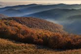 Bieszczady National Park, Poland 1010-01469C