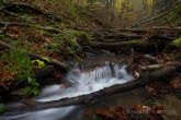 Bieszczady National Park, Poland 1410-01372C