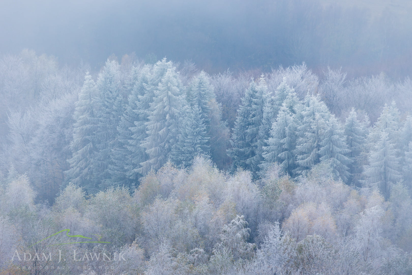 Bieszczady National Park, Poland 1410-01376C