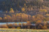 Bieszczady National Park, Poland 1410-01382C