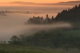 Bieszczady National Park, Poland 1505-01249C