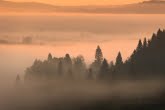 Bieszczady National Park, Poland 1505-01250C