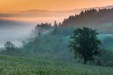 Bieszczady National Park, Poland 1505-01251C