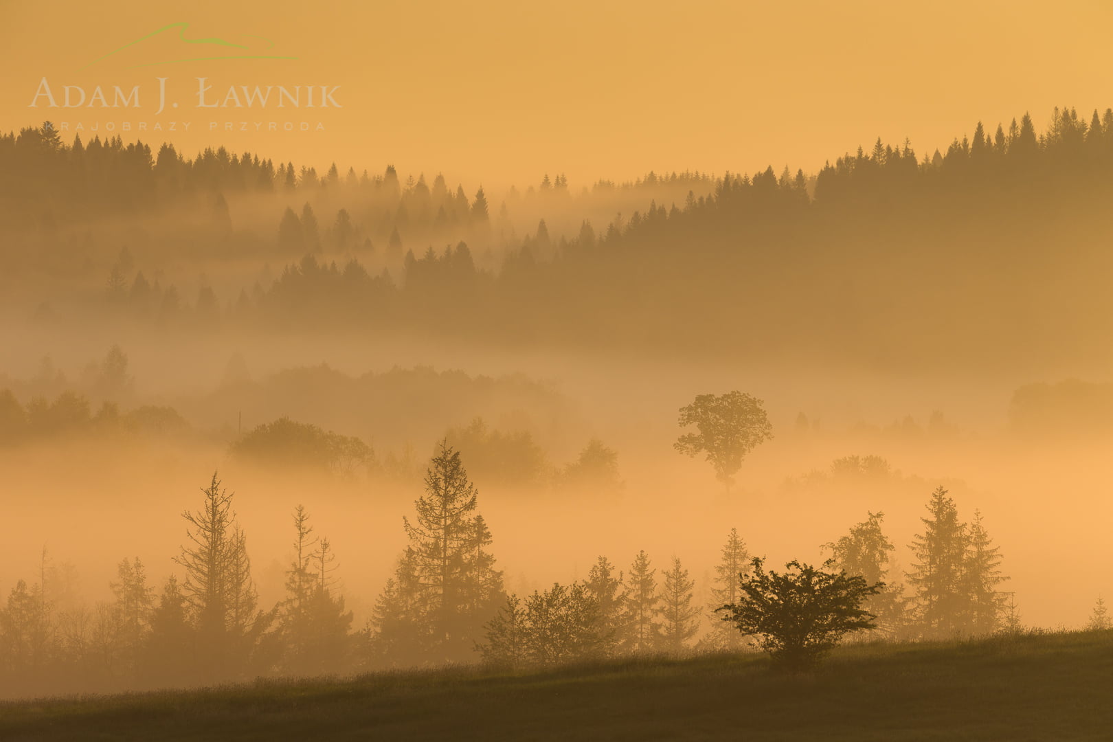 Bieszczady National Park, Poland 1505-01252C