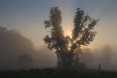 Bieszczady National Park, Poland 1505-01253C