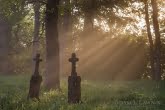 Bieszczady National Park, Poland 1505-01254C