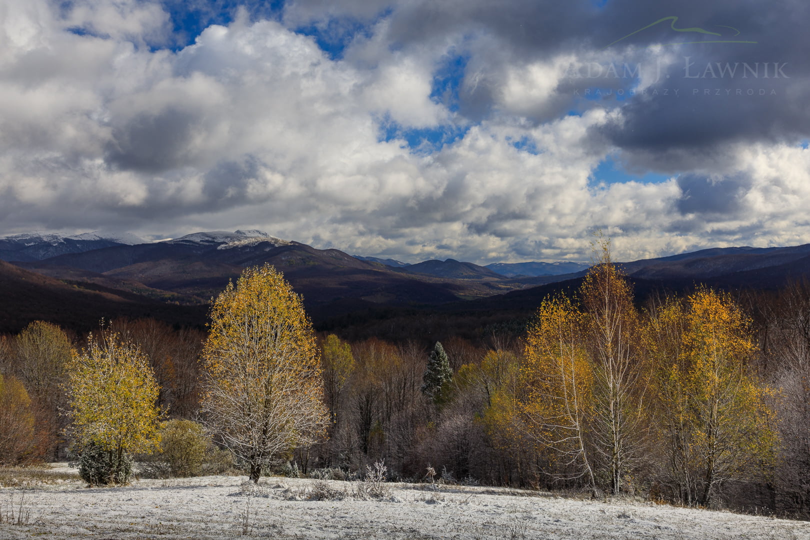 Bieszczady National Park, Poland 1810-00577C