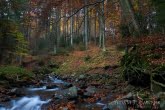 Potok Turbacz w jesiennej scenerii