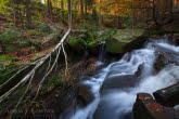 Karkonosze National Park, Poland 1110-02423C