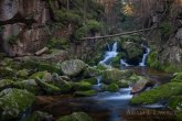 Karkonosze National Park, Poland 1110-02424C