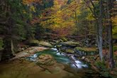 Karkonosze National Park, Poland 1110-02440C