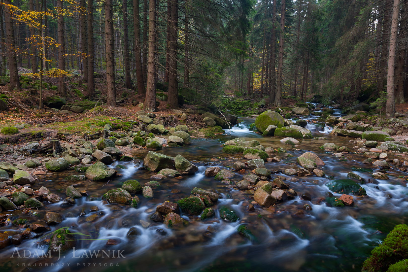 Karkonosze National Park, Poland 1110-02441C