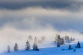 Karkonosze National Park, Poland 1402-00114C