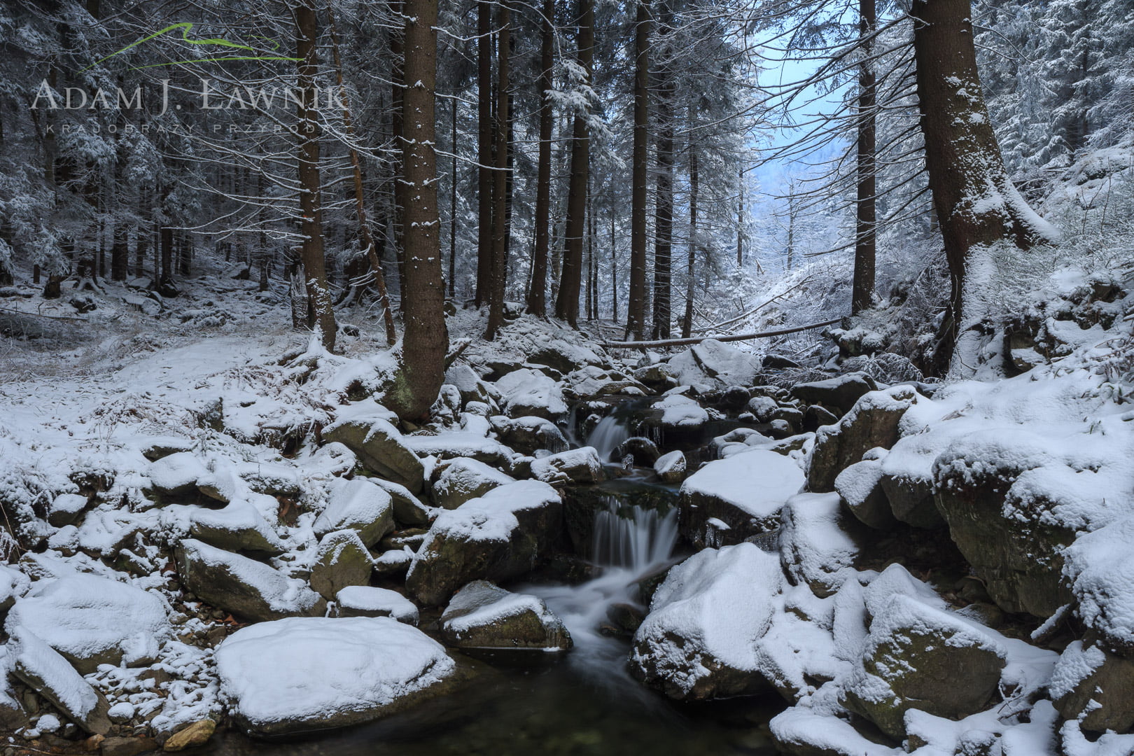 Karkonosze National Park, Poland 1501-00148C