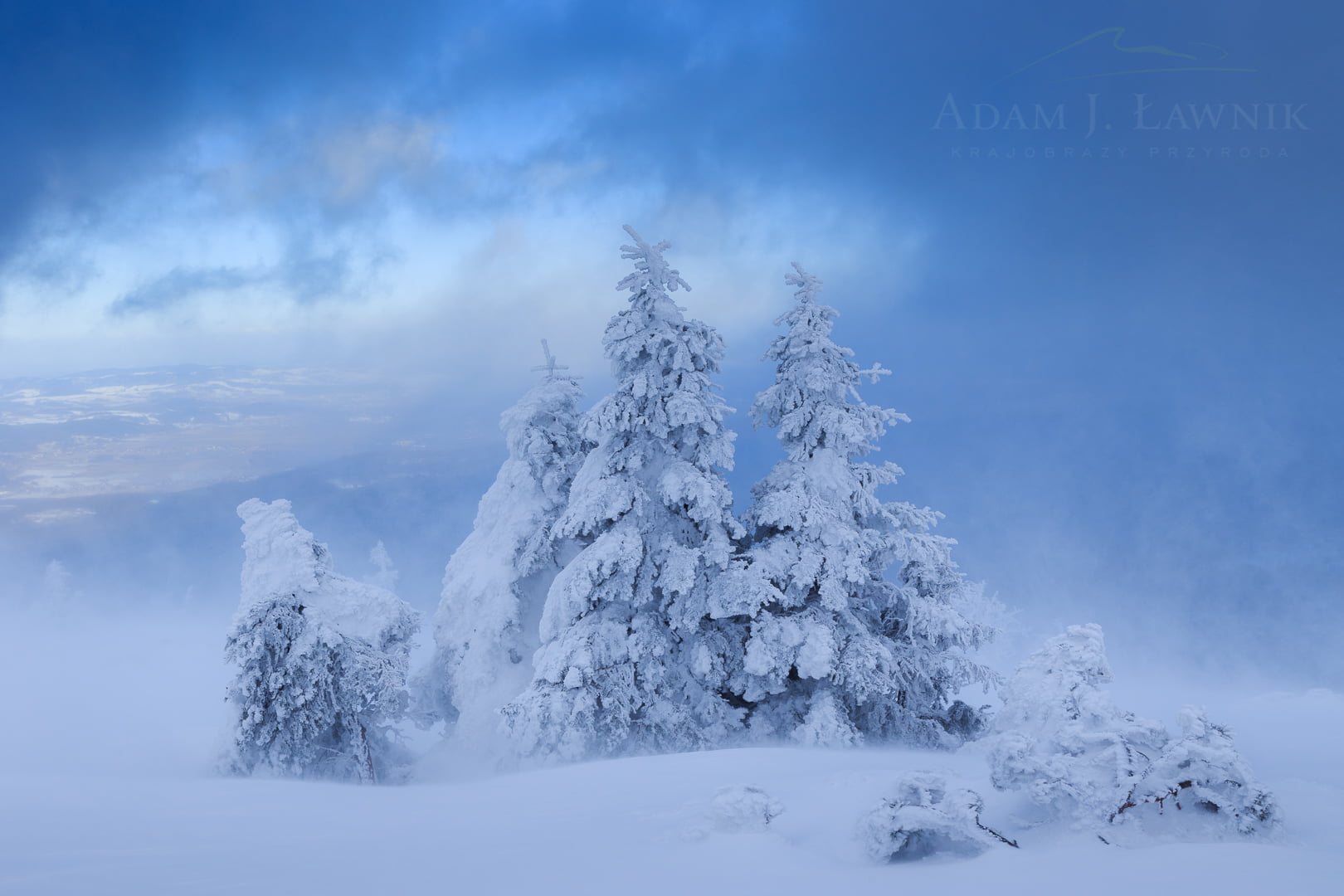 Karkonosze National Park, Poland 1501-00203C