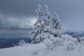 Karkonosze National Park, Poland 1602-00027C