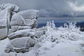 Karkonosze National Park, Poland 1602-00028C