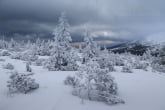 Karkonosze National Park, Poland 1602-00032C