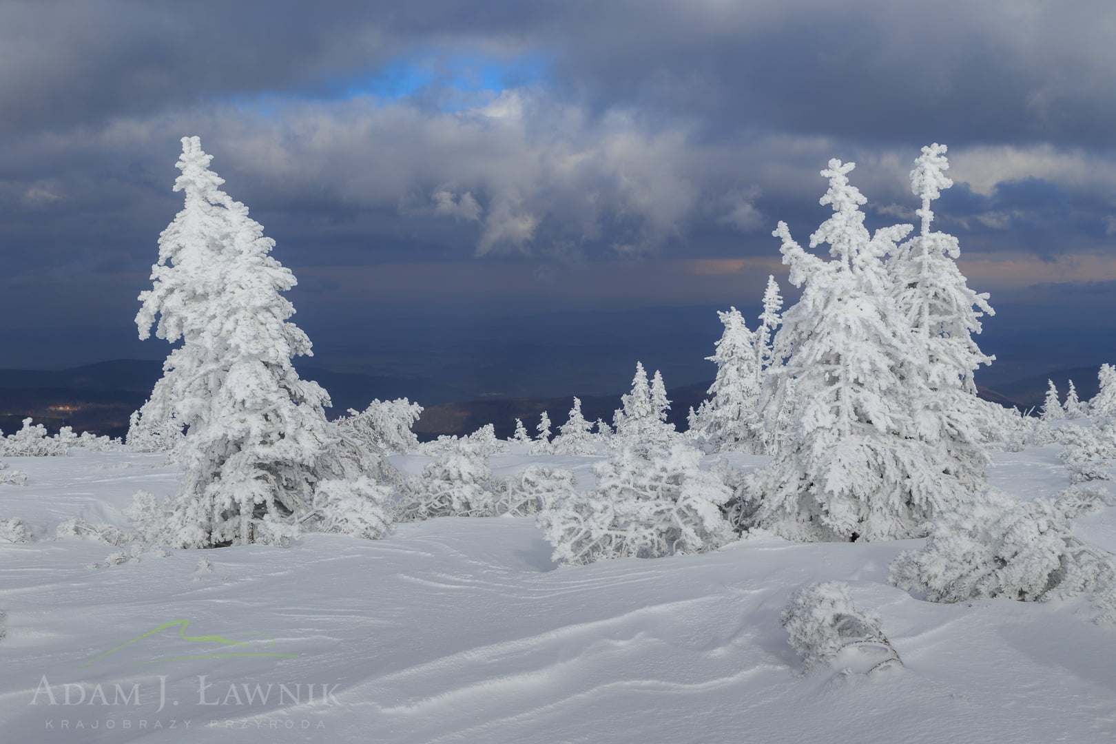 Karkonosze National Park, Poland 1602-00035C