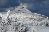 Karkonosze National Park, Poland 1602-00036C