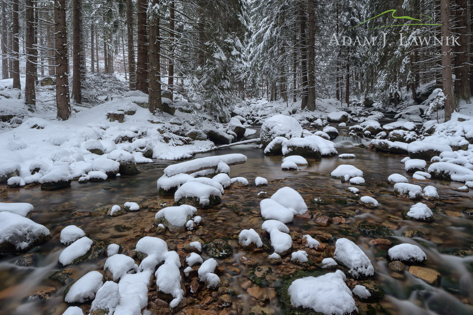 Karkonosze National Park, Poland 1603-00710C