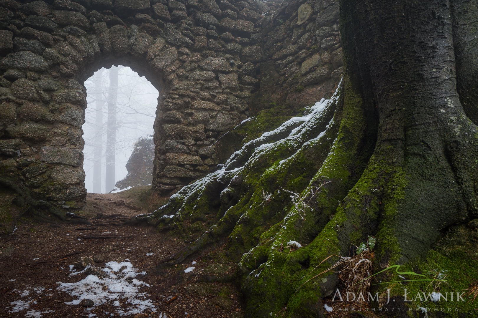 Karkonosze National Park, Poland 1603-00713C