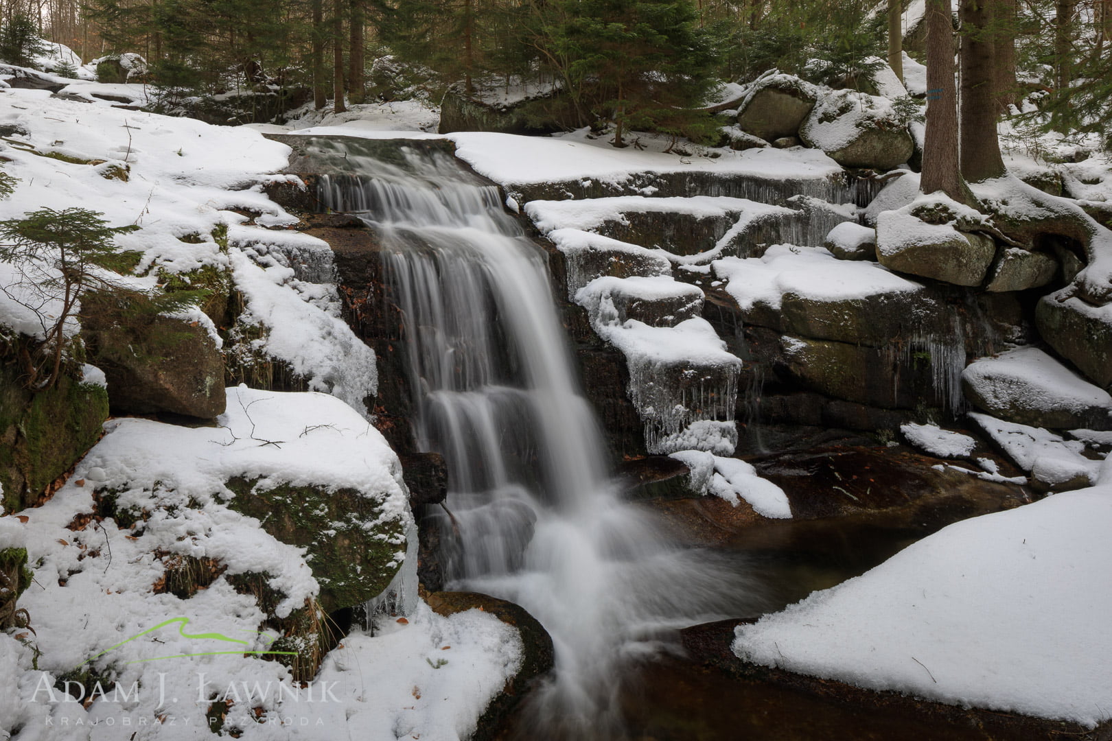 Karkonosze National Park, Poland 1801-00047C