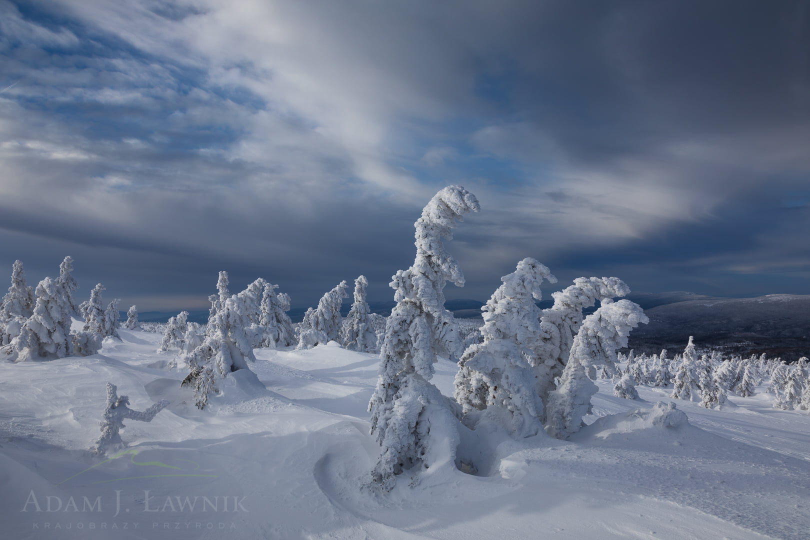 Karkonosze National Park, Poland 1801-00058C