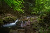 Magura National Park, Poland 1505-00555C