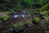 Magura National Park, Poland 1606-00686C