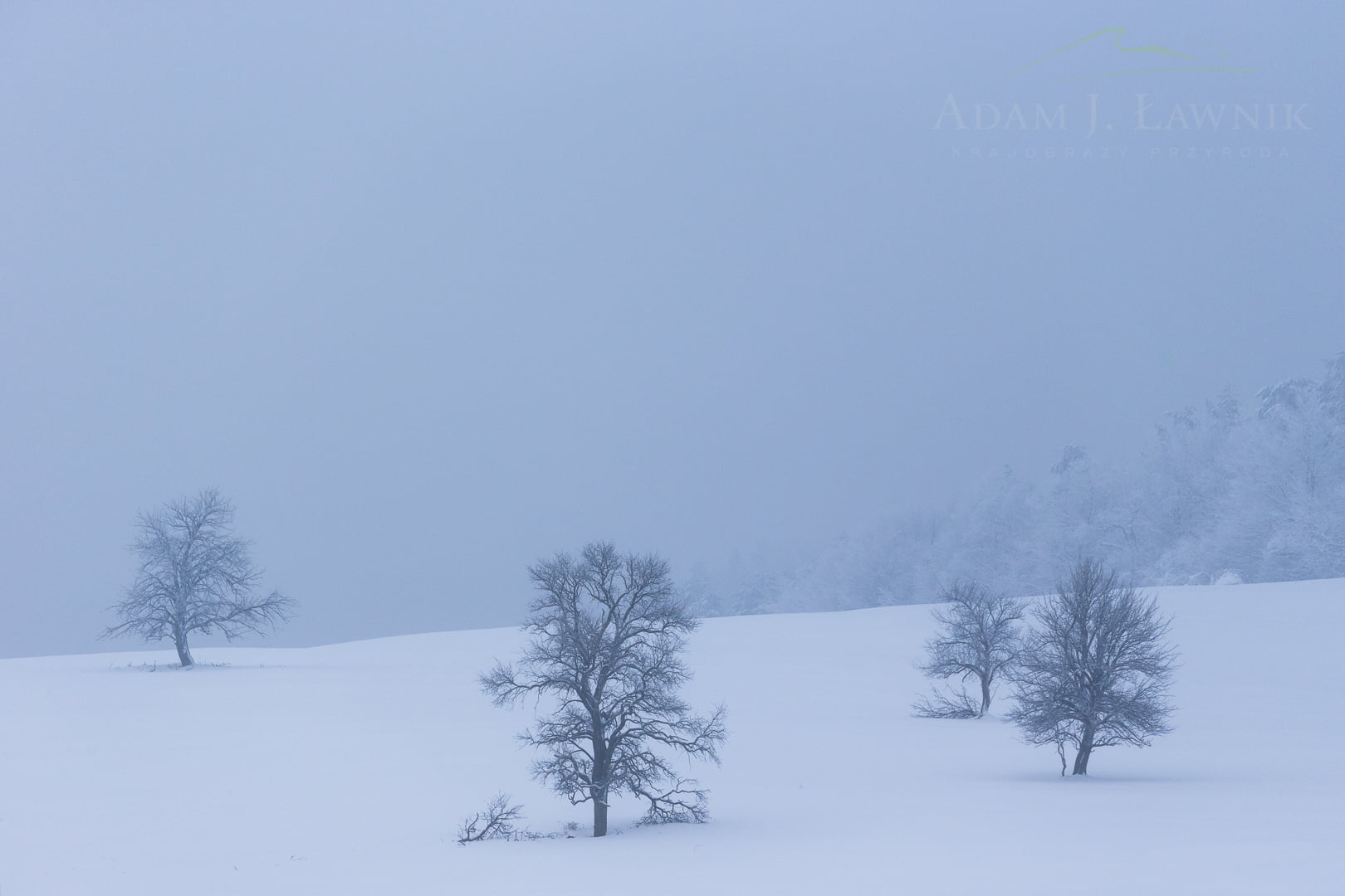 Magura National Park, Poland 1701-00111C